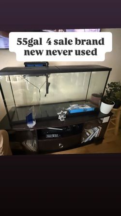 Aquarium