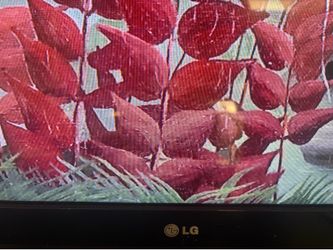 LG Flatscreen (55 INCH)