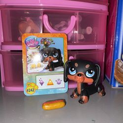 Littlest pet shop Dachshund black dog