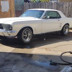 1967 Ford Mustang