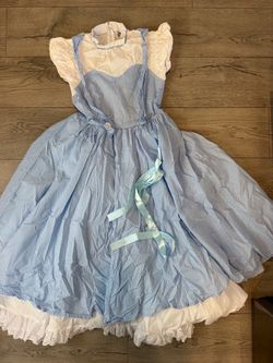 Dorothy Halloween Costume Wizard of Oz