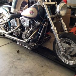 Harley Softail