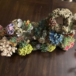 Ornaments for fish tank