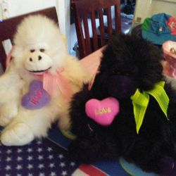 Collectors Choice brand New.