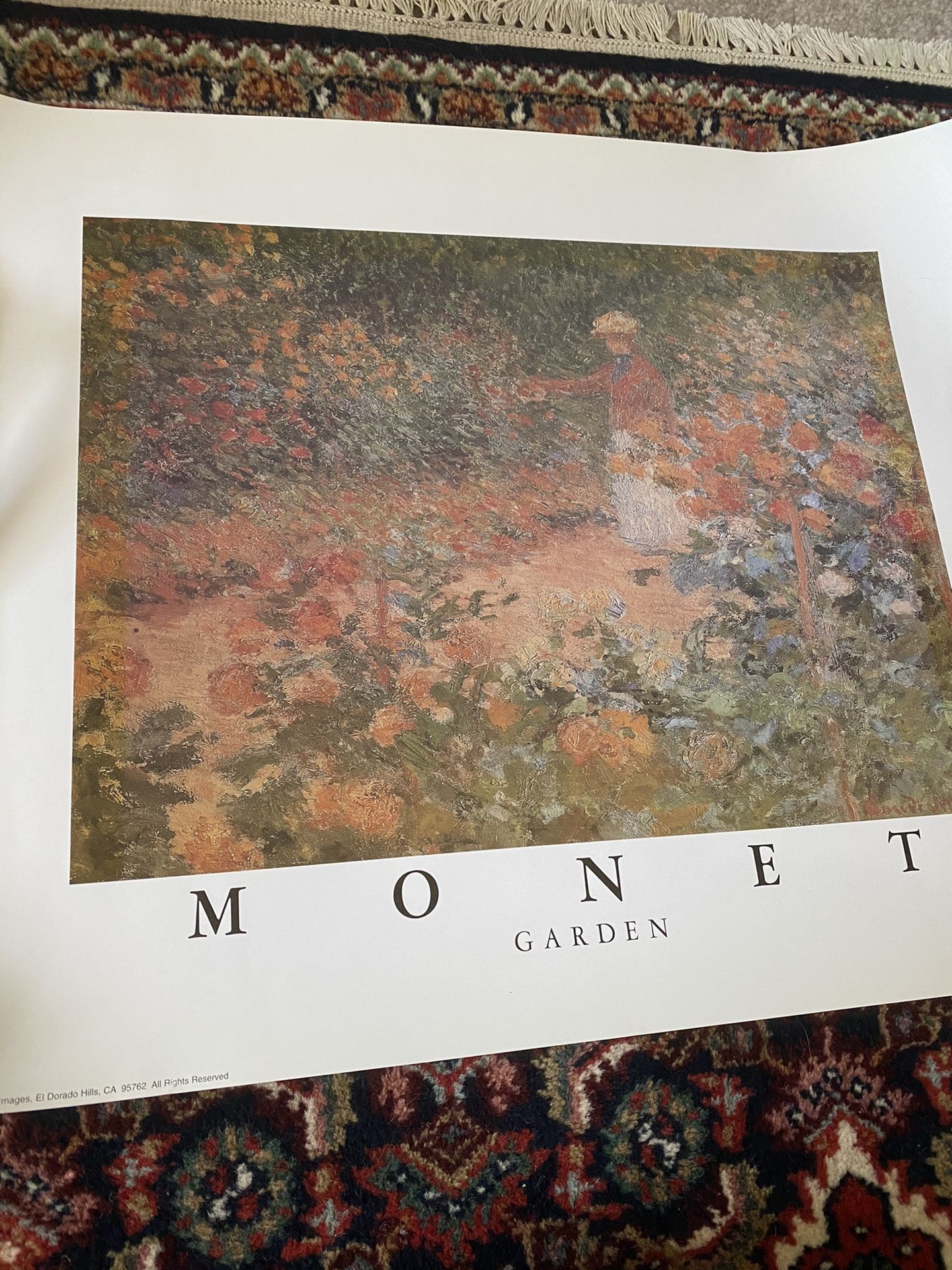 Monet Garden Poster 16x20 Inches