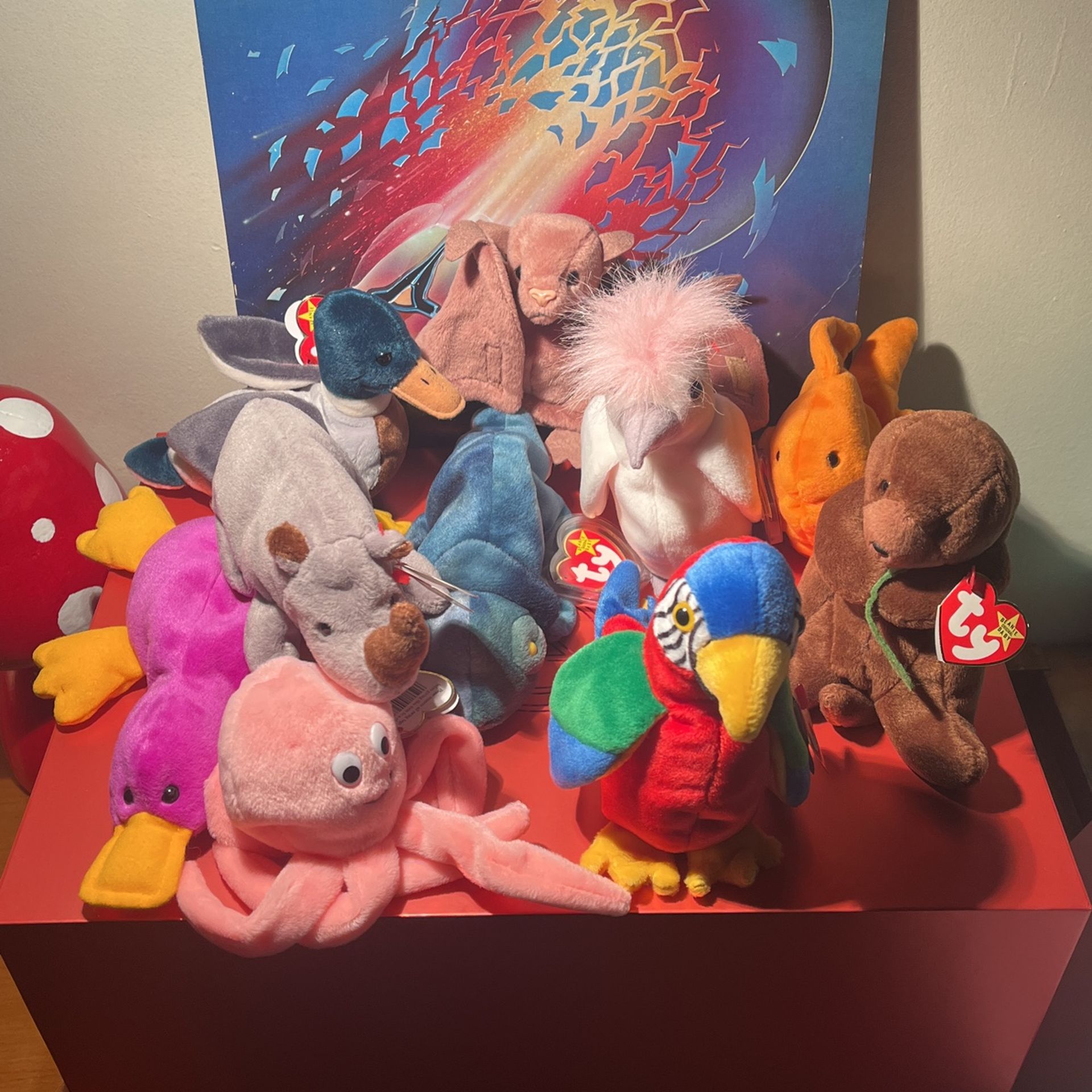 Crazy Rare Beanie Baby Collection!!