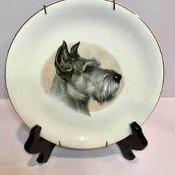 Vintage Late 40's Wood & Sons English Ironstone Plate Schnauzer Dog 7.75”