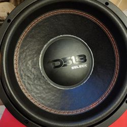 Ds18 12inch Subwoofer 