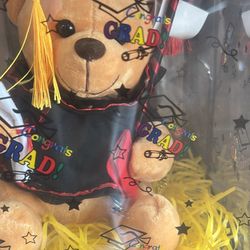 Oso Para Graduacion