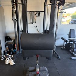 Hip Thrust/glute Ham Raise