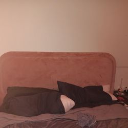 Velvet Pink JOYBIRD Low Pro King Bed Frame