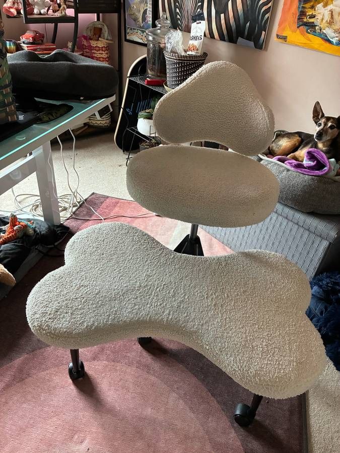 Ergonomic Desk Chair 