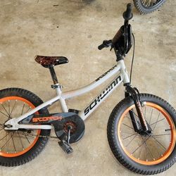 Schwinn Kids Bike