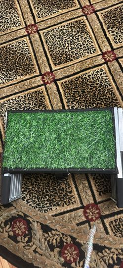 Grass dog stairs