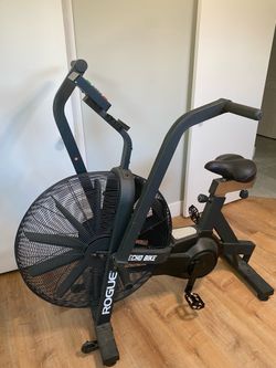 Rogue Echo Bike