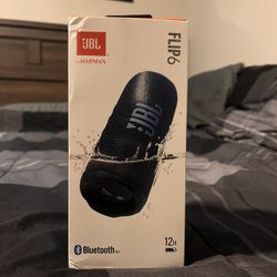JBL Flip 6