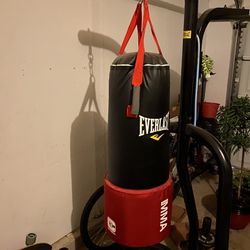 MMA EVERLAST PUNCHING BAG SET WITH STAND