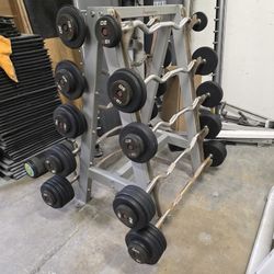 Fixed ez curl barbells with freemotion storage rack gym equipment exercise weights