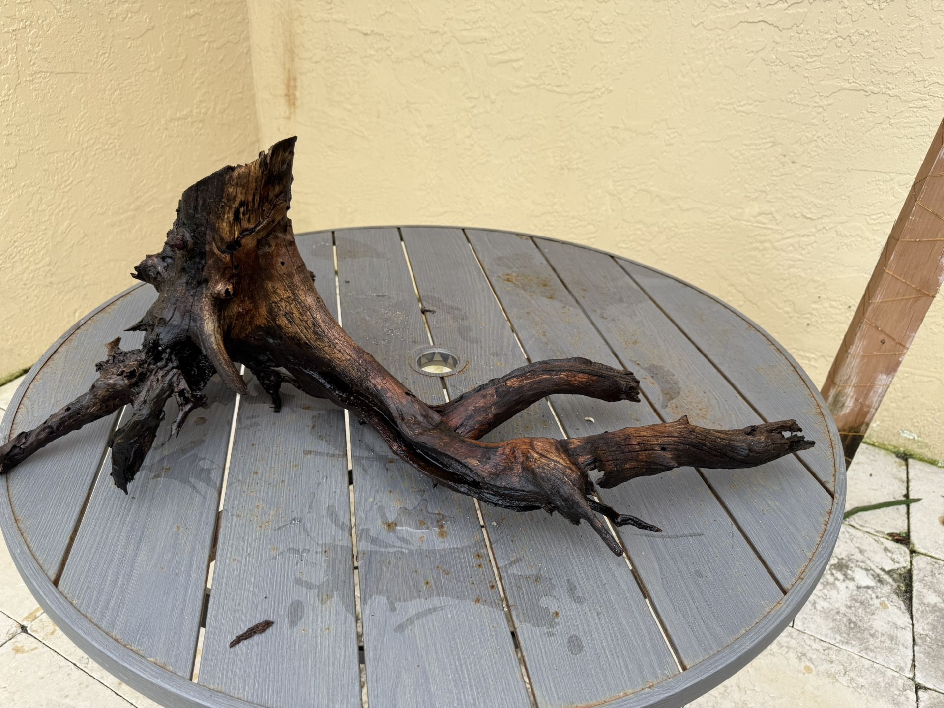 Driftwood For Aquarium Or Terrarium
