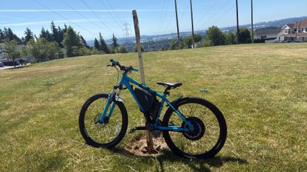 Giant frame E bike 40mph