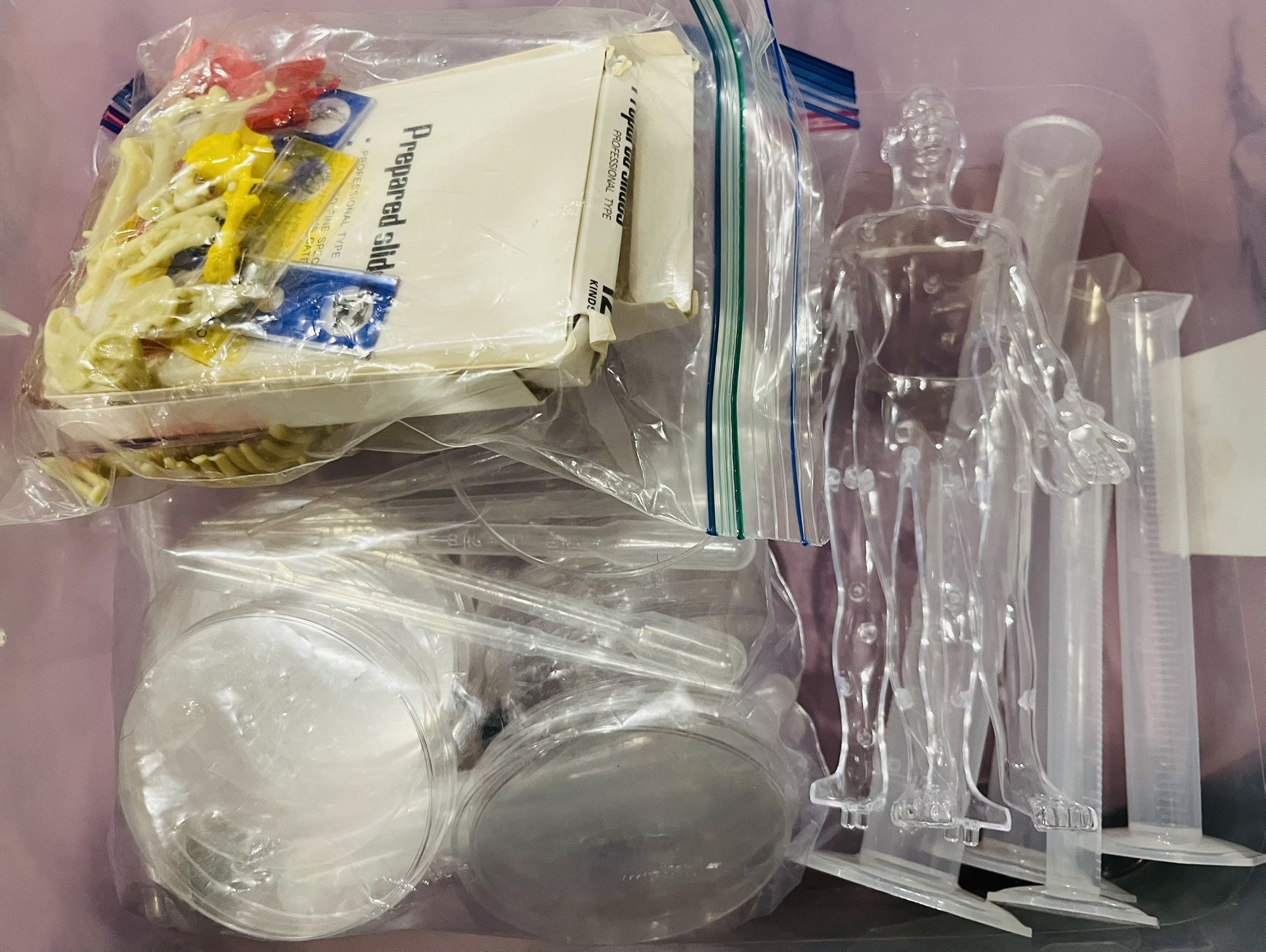 Science Supplies (Petri Dishes, Test Tubes, Microscope Slides, Anatomy Figure, Droppers)