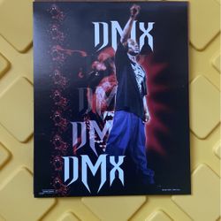 DMX Photo 8x10 
