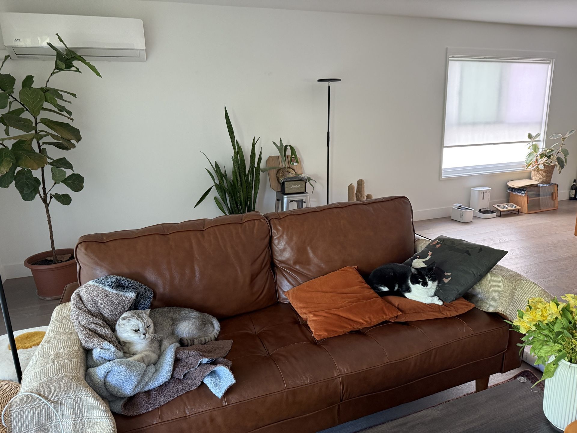 81” Genuine Leather Sofa