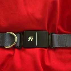Fi Dog Collar