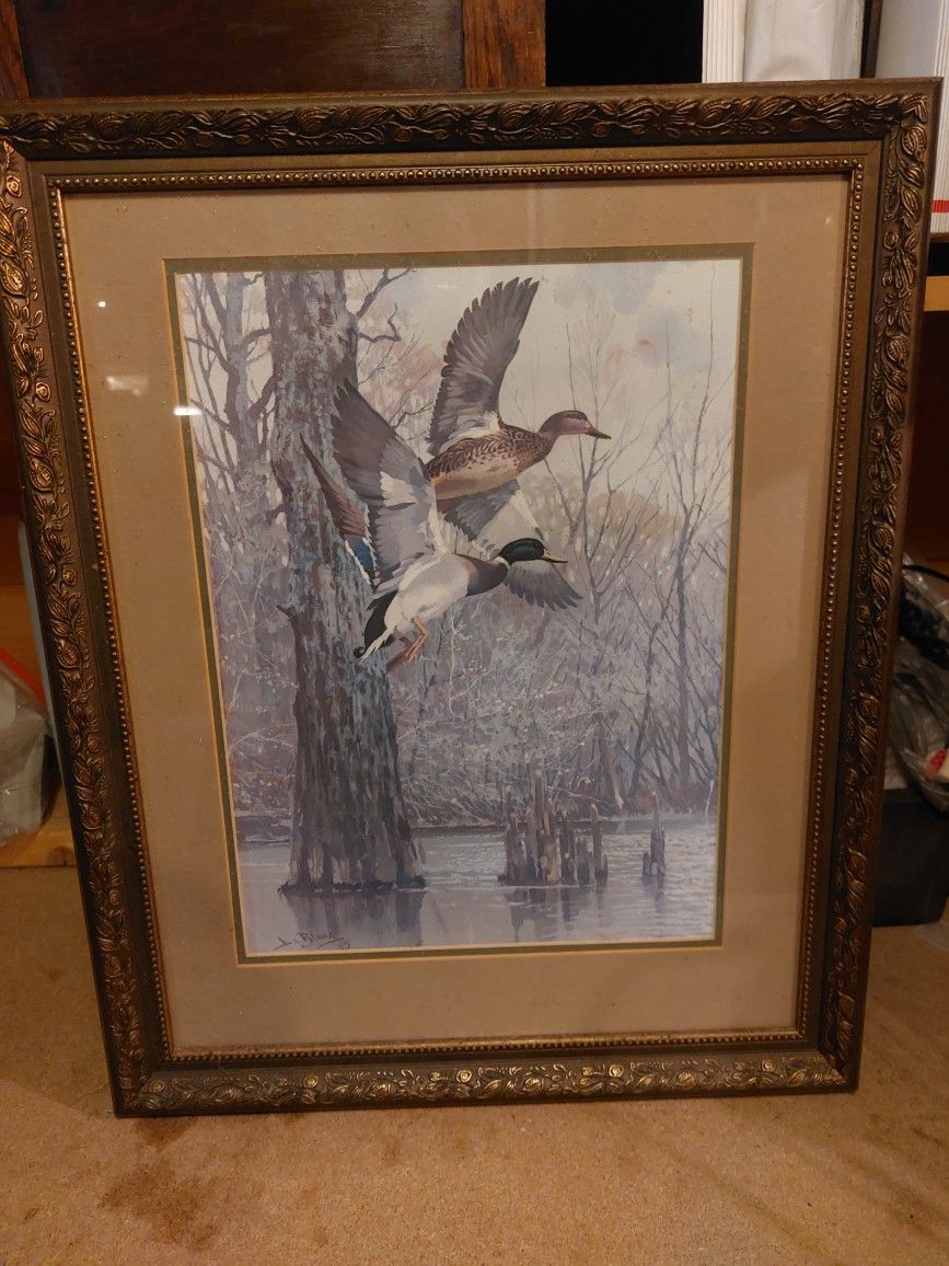 Backwater Mallards Framed Print By Lee LeBlanc