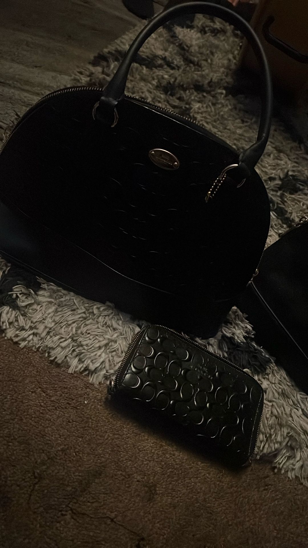 2 Coach Bags & Wallet Like New .!