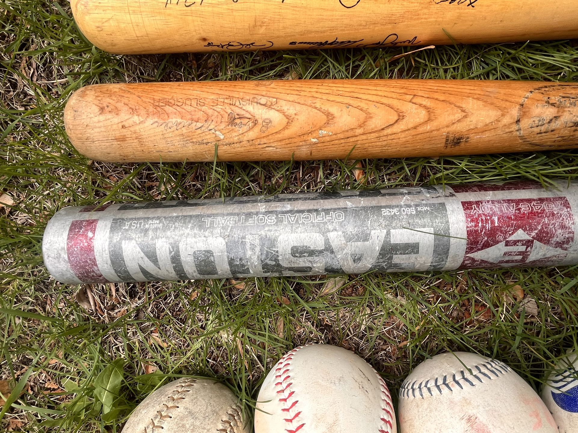 3 Baseball Bats and 12 Baseballs/Softballs