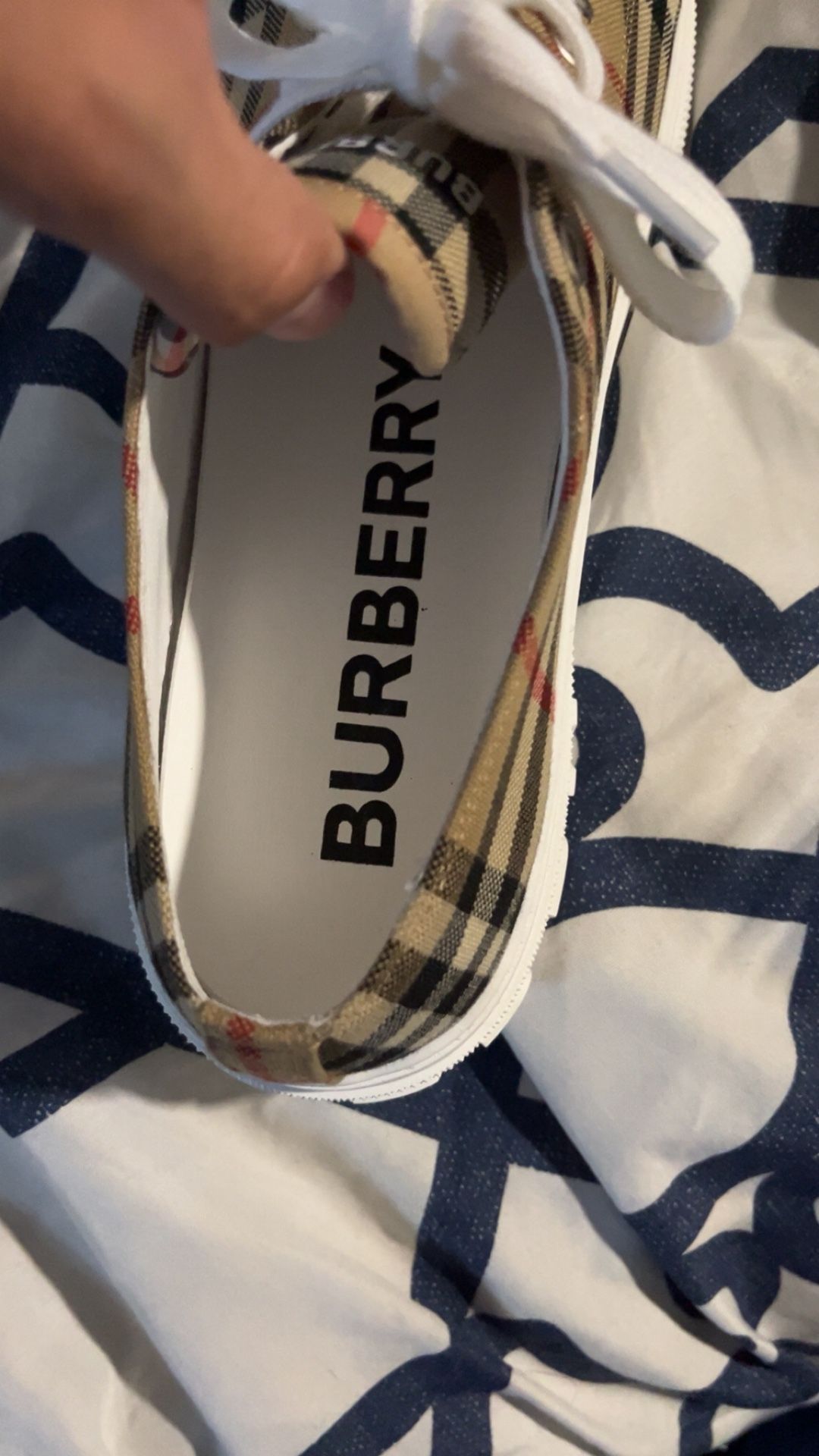 Burberry converse