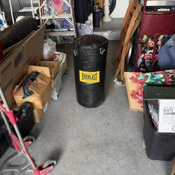 Punching Bag For Sale.