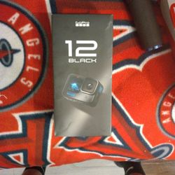 Go Pro 12 Black