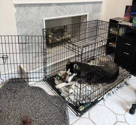 Large Dog Crate