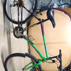 Kawasaki MX175 Mountain Bike