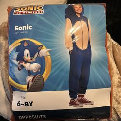 Sonic Costume 