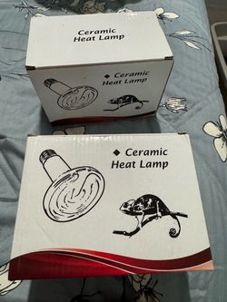Reptile Ceramic Heat Lamps