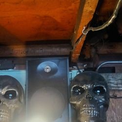 Halloween Skulls