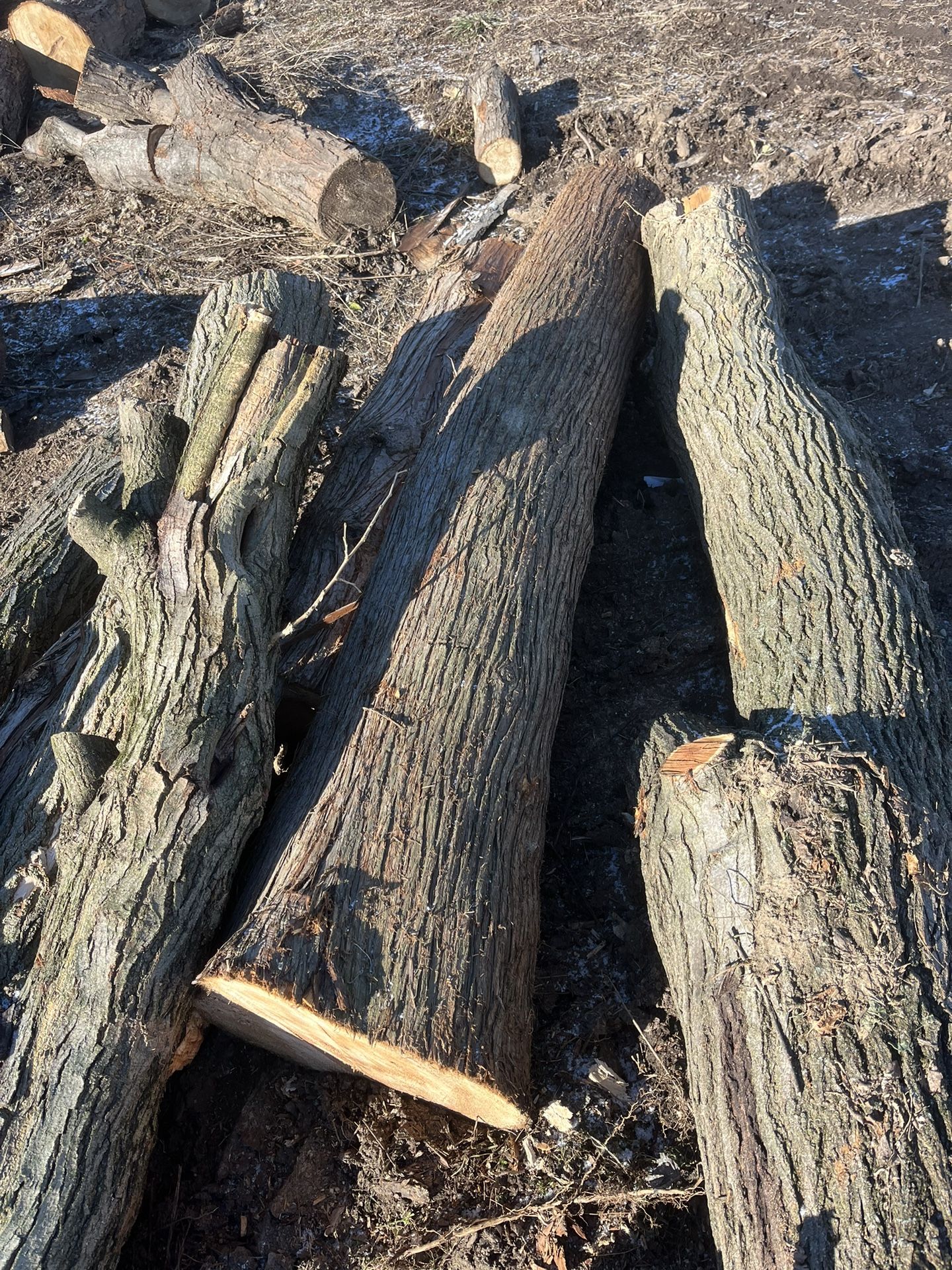 Logs