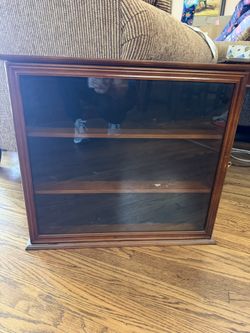 Figurine Display Case