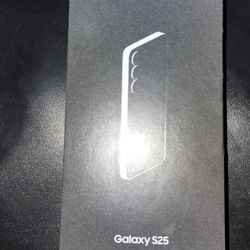 Samsung Galaxy S25