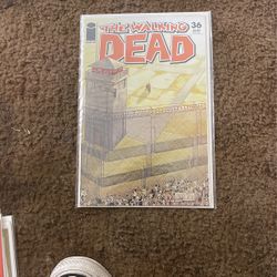 Walking Dead #36