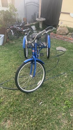 Schwin Cruiser
