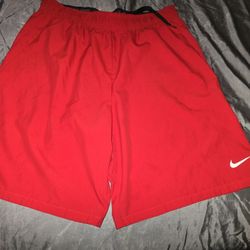 Nike Size Large Mens Lightweight Shorts
