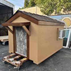 Dog Shelter Start At ;