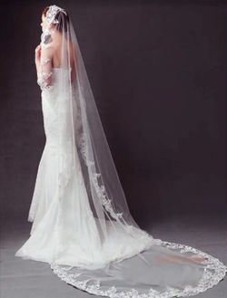Brand New veil , cathedral veil