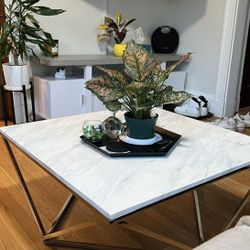 Marble Coffee Table