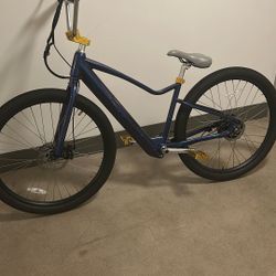 Hurley Electric Liquid Series Cruiser 