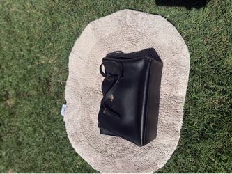 Mollie Coach Bag
